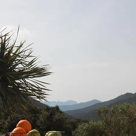 Villa Rosa