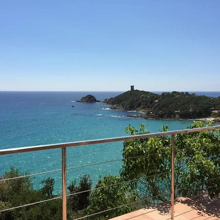 Rosa فيلة كونكا