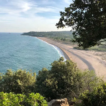 Rosa فيلة كونكا